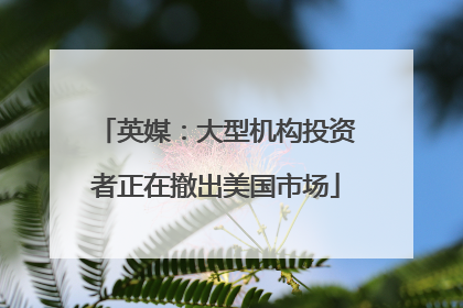 英媒：大型机构投资者正在撤出美国市场