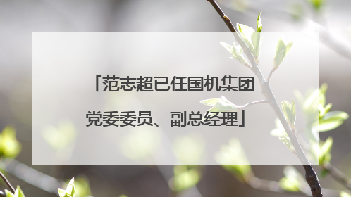 范志超已任国机集团党委委员、副总经理