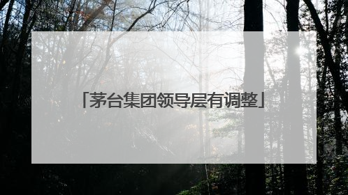 茅台集团领导层有调整