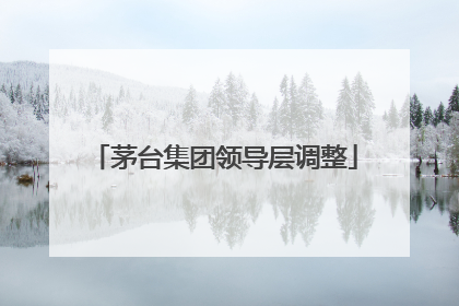 茅台集团领导层调整