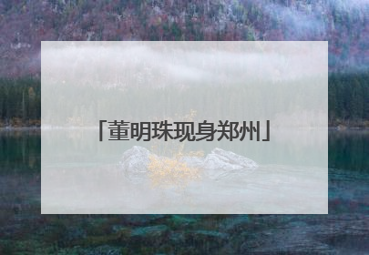 董明珠现身郑州