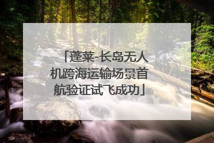 蓬莱-长岛无人机跨海运输场景首航验证试飞成功