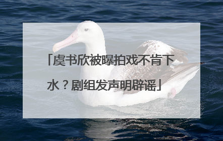 虞书欣被曝拍戏不肯下水？剧组发声明辟谣