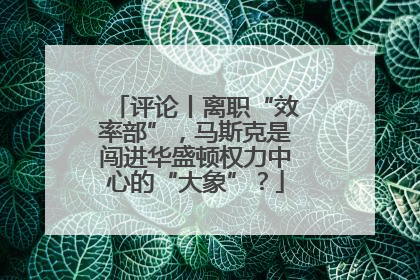 评论丨离职“效率部”，马斯克是闯进华盛顿权力中心的“大象”？