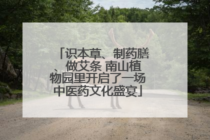 识本草、制药膳、做艾条 南山植物园里开启了一场中医药文化盛宴