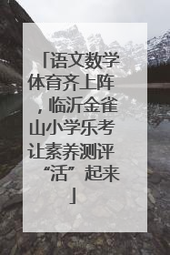 语文数学体育齐上阵，临沂金雀山小学乐考让素养测评“活”起来