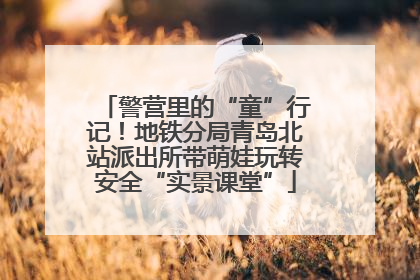 警营里的“童”行记！地铁分局青岛北站派出所带萌娃玩转安全“实景课堂”