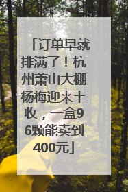订单早就排满了！杭州萧山大棚杨梅迎来丰收，一盒96颗能卖到400元