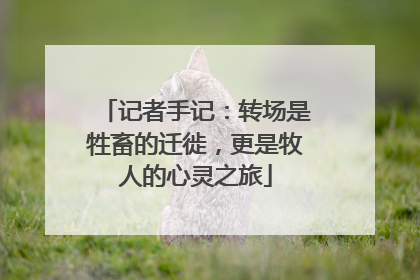 记者手记：转场是牲畜的迁徙，更是牧人的心灵之旅