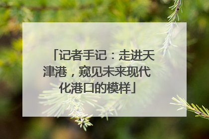 记者手记：走进天津港，窥见未来现代化港口的模样