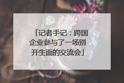 记者手记：跨国企业参与了一场别开生面的交流会