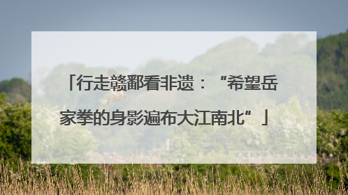 行走赣鄱看非遗：“希望岳家拳的身影遍布大江南北”
