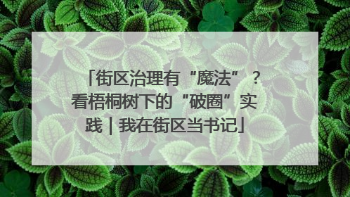 街区治理有“魔法”？看梧桐树下的“破圈”实践｜我在街区当书记