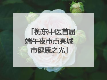 衡东中医首届端午夜市点亮城市健康之光