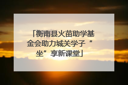 衡南县火苗助学基金会助力城关学子“坐”享新课堂