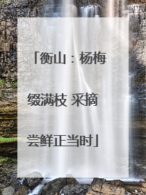 衡山：杨梅缀满枝 采摘尝鲜正当时