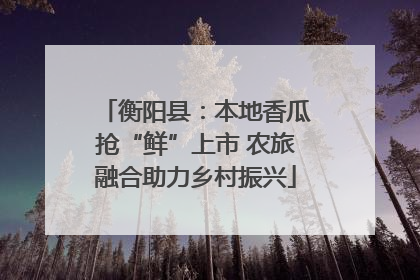 衡阳县：本地香瓜抢“鲜”上市 农旅融合助力乡村振兴
