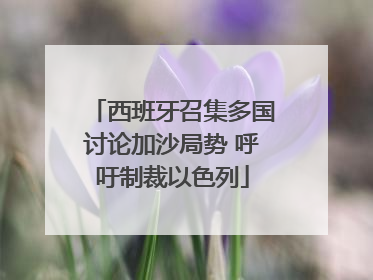 西班牙召集多国讨论加沙局势 呼吁制裁以色列