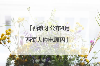 西班牙公布4月西葡大停电原因
