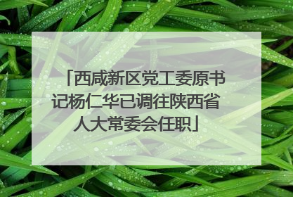 西咸新区党工委原书记杨仁华已调往陕西省人大常委会任职