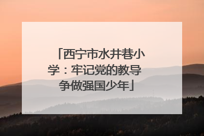 西宁市水井巷小学：牢记党的教导 争做强国少年