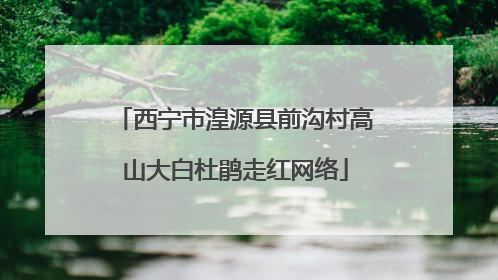 西宁市湟源县前沟村高山大白杜鹃走红网络