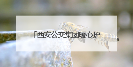 西安公交集团暖心护航2025年高考