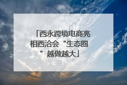 西永跨境电商亮相西洽会“生态圈”越做越大