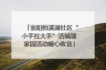 襄阳檀溪湖社区“小手拉大手”洁城靓家园活动暖心收官