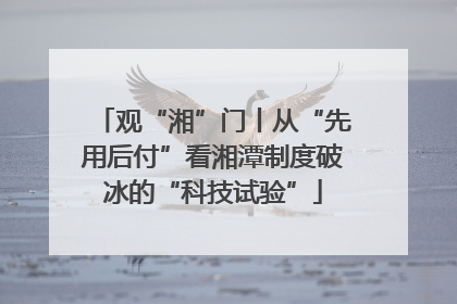 观“湘”门丨从“先用后付”看湘潭制度破冰的“科技试验”