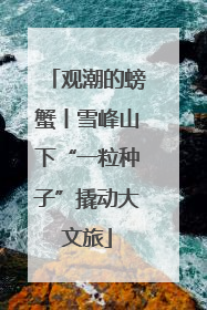 观潮的螃蟹丨雪峰山下“一粒种子”撬动大文旅