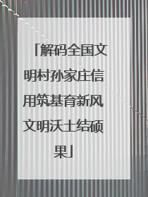 解码全国文明村孙家庄信用筑基育新风文明沃土结硕果