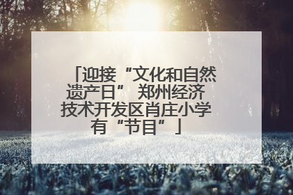 迎接“文化和自然遗产日” 郑州经济技术开发区肖庄小学有“节目”