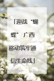 迎战“蝴蝶” 广西移动筑牢通信生命线