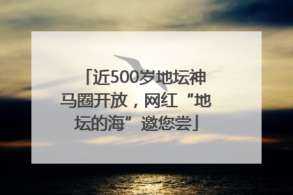 近500岁地坛神马圈开放，网红“地坛的海”邀您尝