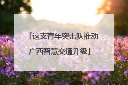 这支青年突击队推动广西智慧交通升级