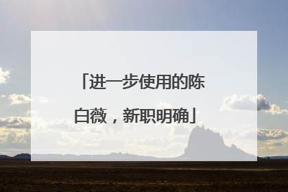 进一步使用的陈白薇，新职明确