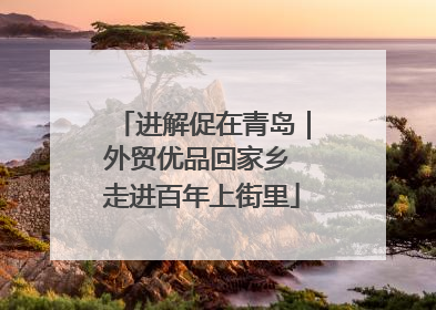 进解促在青岛｜外贸优品回家乡 走进百年上街里