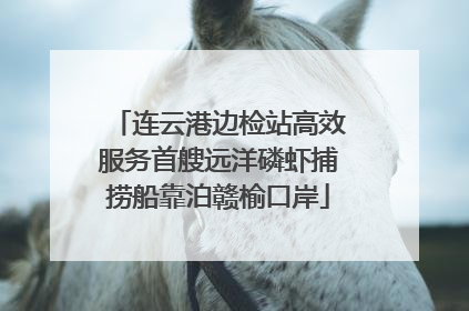 连云港边检站高效服务首艘远洋磷虾捕捞船靠泊赣榆口岸