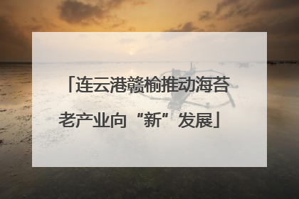 连云港赣榆推动海苔老产业向“新”发展