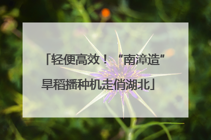 轻便高效！“南漳造”旱稻播种机走俏湖北
