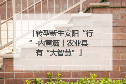 转型新生安阳“行”·内黄篇丨农业县有“大智慧”