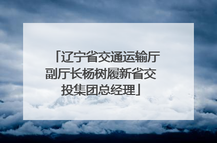 辽宁省交通运输厅副厅长杨树履新省交投集团总经理