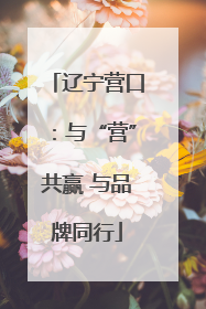 辽宁营口：与“营”共赢 与品牌同行