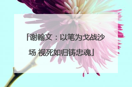 谢翰文：以笔为戈战沙场 视死如归铸忠魂