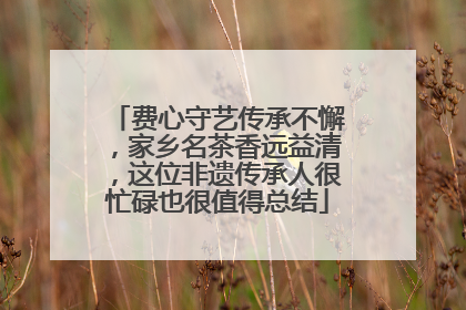 费心守艺传承不懈，家乡名茶香远益清，这位非遗传承人很忙碌也很值得总结
