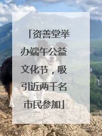 资善堂举办端午公益文化节，吸引近两千名市民参加