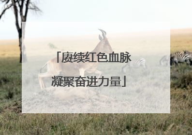 赓续红色血脉 凝聚奋进力量