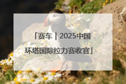 赛车｜2025中国环塔国际拉力赛收官