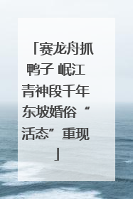 赛龙舟抓鸭子 岷江青神段千年东坡婚俗“活态”重现